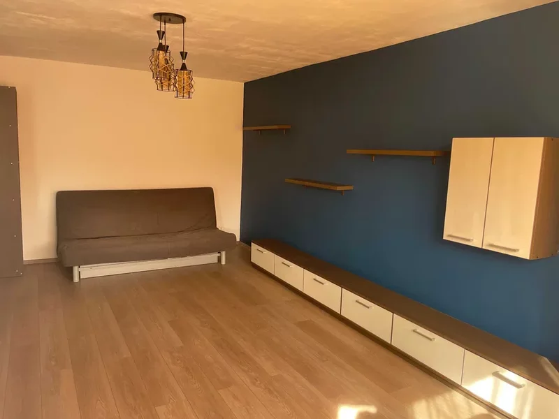 Lacul Tei x Teiul Doamnei, langa Facultatea de Constructii si Parcul Tei