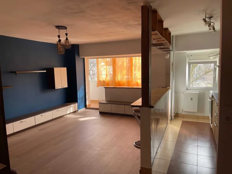 Lacul Tei x Teiul Doamnei, langa Facultatea de Constructii si Parcul Tei