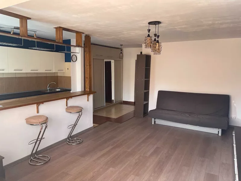 Lacul Tei x Teiul Doamnei, langa Facultatea de Constructii si Parcul Tei